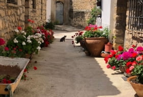 Foto 18