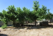 1210m² entrepôt industriel pour vente à Tortosa photo