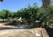 1210m² entrepôt industriel pour vente à Tortosa photo