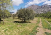 2000m² warehouse industrial for sale in Nigüelas, Camino N 323 photo
