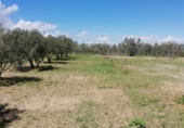 2000m² warehouse industrial for sale in Nigüelas, Camino N 323 photo