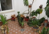 362m² commercial premises for sale in Cartaya photo