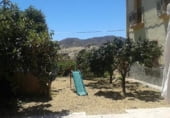 440m² building for sale in Torre-Pacheco, Los Martinez photo