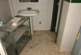 Foto 10