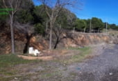 Local comercial
en venda
amb 4783m² a Santa Elena foto