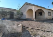 56000m² building for sale in Alguazas photo