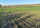 Nave en alquiler con 400m² en Morón de la Frontera foto