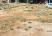 Nau
en lloguer
amb 6800m² a Valdepeñas foto