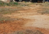 Nau
en lloguer
amb 6800m² a Valdepeñas foto