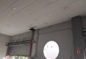 Nave en alquiler con 550m² en Mairena del Aljarafe foto