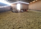 1315m² warehouse industrial for sale in Viso del Marqués, Camino CUESTA BERMEJA photo