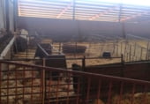 1315m² warehouse industrial for sale in Viso del Marqués, Camino CUESTA BERMEJA photo