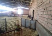 1315m² warehouse industrial for sale in Viso del Marqués, Camino CUESTA BERMEJA photo