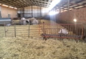 1315m² warehouse industrial for sale in Viso del Marqués, Camino CUESTA BERMEJA photo