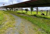 Restaurante en venta en A Estrada foto