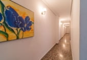 441m² building residential for sale in Torrevieja photo