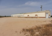 Nau Industrial
en lloguer
amb 250m² a Fuente Álamo de Murcia foto