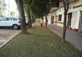  restaurant pour location à Séville, dans le quartier de Tabladilla-La Estrella photo