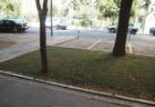  restaurant pour location à Séville, dans le quartier de Tabladilla-La Estrella photo