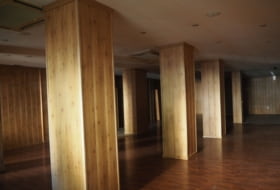 Foto 19