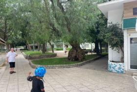 Foto 3