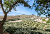 1858m² restaurant for sale in Loja photo