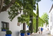467m² hotel for sale in Ronda photo
