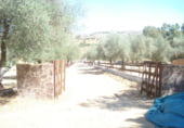 Local comercial
en venda
amb 554m² a Cumbres Mayores foto