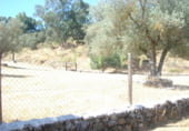 Local comercial
en venda
amb 554m² a Cumbres Mayores foto