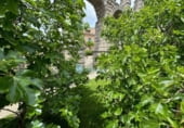 Edificio en venta con 440m² en Segovia foto