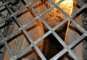 Restaurante en venta con 500m² en Santovenia de la Valdoncina, Quintana De Raneros foto