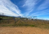 300m² bâtiment industriel pour vente à Chozas de Abajo, Chozas de abajo photo