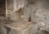 Local comercial en venta con 1953m² en Ponferrada, en la zona de Flores del Sil, Flores del sil foto
