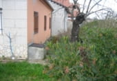 Oficina en alquiler en Ponferrada, Centro foto