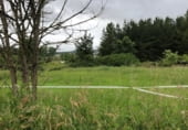 Oficina en alquiler con 60m² en Ponferrada, Centro foto