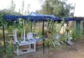 60m² hair salon for rent in Seville, in the area of Nervion, Avenida La Cruz del Campo photo