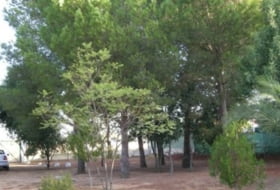 Foto 8
