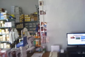 Foto 4