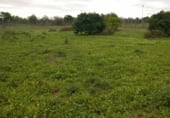150m² locaux commerciaux pour vente à Séville, dans le quartier de La Plata, Cerro del Águila photo
