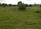 150m² locaux commerciaux pour vente à Séville, dans le quartier de La Plata, Cerro del Águila photo