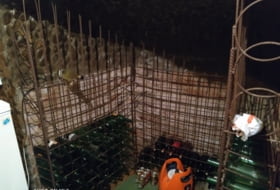 Foto 11