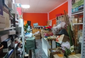Foto 7