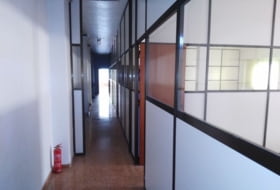 Foto 20