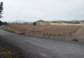 Edificio Industrial en venta en Cehegín, CEHEGIN foto