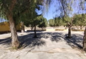  restaurant pour vente à Calasparra, Calasparra photo