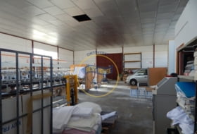Foto 8