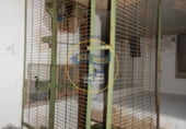 1050m² entrepôt industriel pour vente à Albaida, Albaida photo
