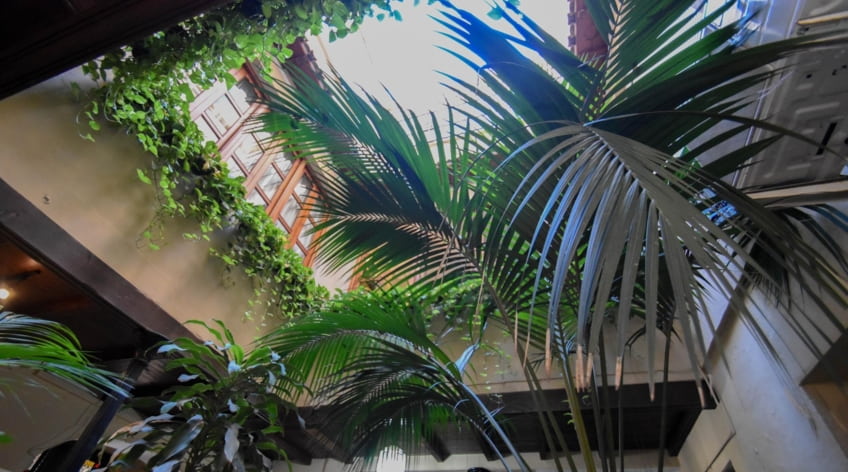 Edificio