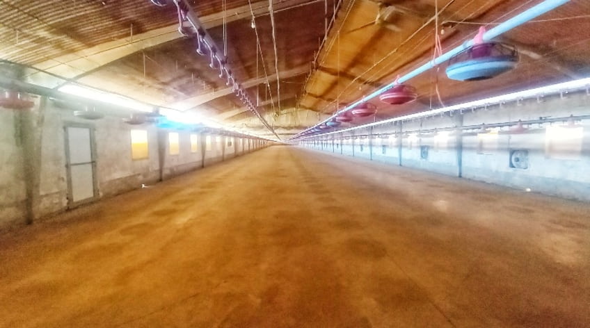 Nave