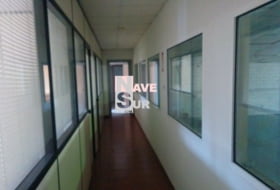 Foto 19